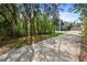 View of a long driveway leading up to a quaint blue home surrounded by lush trees at 34 Jackson Cir, Winter Springs, FL 32708