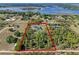 Expansive aerial view of this luxury property nestled among mature trees close to a pristine lake at 8003 Lake Nellie Rd, Clermont, FL 34714