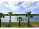 Scenic view of the lake and lush landscaping, framed by majestic palm trees at 834 Golden Bear Dr, Reunion, FL 34747