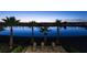 Stunning twilight lake view with a patio featuring chairs and palm trees, perfect for evening enjoyment at 834 Golden Bear Dr, Reunion, FL 34747