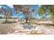 Picturesque backyard view with mature trees and a storage shed, ideal for outdoor living at 2685 Groveland Ave, Deltona, FL 32725