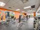 Bright gym featuring modern workout equipment, weights, and ample natural light through large windows at 3020 Red Ginger Rd, Kissimmee, FL 34747