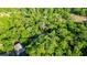 Aerial view of a home nestled within a dense, vibrant forest with a pool, showcasing privacy at 30542 Hoylake St, Sorrento, FL 32776