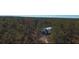 Quonset hut surrounded by dense trees in an aerial view of the property at 32325 State Road 44, Eustis, FL 32736