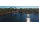 Aerial view of the serene lake with lush vegetation and surrounding trees at 32325 State Road 44, Eustis, FL 32736