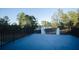 View from a deck showcasing the picturesque landscape with trees and serene lake at 32325 State Road 44, Eustis, FL 32736