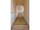 Carpeted staircase with white trim, leading to the upper level of the home at 6240 Miramonte Dr # 102, Orlando, FL 32835