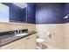 Bathroom features a vanity, toilet, mirror, and patterned blue wallpaper at 9178 Panzani Pl, Windermere, FL 34786