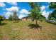 Expansive backyard showcasing ample space for recreation and relaxation at 936 Dandridge Dr, Deltona, FL 32725