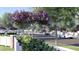 Picturesque street view with mature trees, tidy landscaping, and a peek at the community golf carts driving by at 1250 Water Maple Dr, Oakland, FL 34787