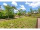Green backyard with trees and blue skies and landscaping at 1559 Scrub Jay Ct, Deland, FL 32724