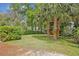 Lush backyard with mature palm trees and manicured lawn, perfect for outdoor activities and relaxation at 1621 Highland Dr, Longwood, FL 32750