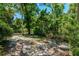 An empty lot on a beautiful parcel of land with mature trees, brush, and greenery at 1710 Alvarado Ct, Longwood, FL 32779