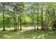 Backyard boasts lush landscaping with a tranquil lake, creating a picturesque and serene outdoor environment at 2987 Sabel Oak Pl, Oviedo, FL 32765