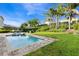 Spacious backyard with a pool, spa, and lush green lawn surrounded by palm trees at 321 Falls Dr, Kissimmee, FL 34747