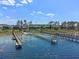 A scenic aerial view of the lake with docks and walkways, surrounded by lush landscaping and beautiful homes at 3456 Shallow Cove Ln, Clermont, FL 34711