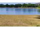 Scenic view of the lake with trees in the background at 509 Dorothy Cir, Eustis, FL 32726