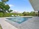 This backyard includes a swimming pool, lounge chairs with umbrellas, and lush privacy hedges at 113 Tangelo Ct, Maitland, FL 32751
