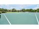 The basketball court is in a grassy park-like setting under a partly cloudy blue sky at 14522 Old Thicket Trace, Winter Garden, FL 34787