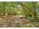 Lush backyard with mature trees, a fire pit area, and a wooden fence at 20 Stone Gate S, Longwood, FL 32779