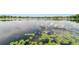 Calm lake view with lily pads, reflecting the serene sky above at 3225 Hargill Dr, Orlando, FL 32806