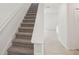 Carpeted staircase with white railing leading to the upper level of the home at 4721 Jasmine Cir, Leesburg, FL 34748