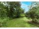 Lush green backyard with a clear, grassy area, surrounded by mature trees, creating a private oasis at 7761 Hillcrest Ter, Orlando, FL 32810