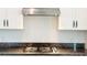 Close-up of kitchen cooktop with granite countertops and modern white cabinetry at 2252 Emerald Springs Dr, Apopka, FL 32712