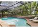 Screened in pool with waterfall feature and lounge chairs at 25548 Pine Valley Dr, Mount Plymouth, FL 32776