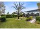 Well-maintained backyard with lush green grass, manicured hedges, and a palm tree accenting the space at 5509 Meadow Hill Loop, Lady Lake, FL 32159