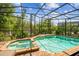 Screened-in pool area featuring a pool, in-ground hot tub and a brick-tile patio surrounded by foliage at 8808 Macapa Dr, Kissimmee, FL 34747