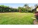 Sprawling green backyard, enclosed by a sleek, wrought iron fence and mature landscaping at 11055 Ullswater Ln, Windermere, FL 34786