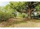 Sprawling backyard with mature shade trees providing privacy and a tranquil setting at 2025 Claremont Dr, Deltona, FL 32725