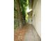 Exterior doorway with concrete path and lush greenery providing a private entrance at 415 N Fern Creek Ave, Orlando, FL 32803