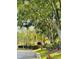 Scenic street view with mature trees, manicured lawns, and landscaping at 7629 Chapelhill Dr, Orlando, FL 32819