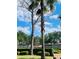 View of tennis courts surrounded by mature palm trees and greenery at 7629 Chapelhill Dr, Orlando, FL 32819