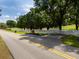 Scenic entrance to a rural property, featuring a tree-lined drive and white perimeter fencing at 11200 Lane Park Rd, Tavares, FL 32778