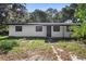 A quaint one-story home featuring black trim, white paint and a tidy, if overgrown, front yard at 2225 E Welch Rd, Apopka, FL 32712