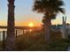 Scenic sunset view with palm trees, a tranquil lake, and a black fence adding to the serene ambiance at 2978 Latitude Ln, Kissimmee, FL 34747