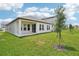 Spacious backyard featuring well-maintained lawn and landscaping, offering ample outdoor space at 5290 Citrus Leaf Blvd, Winter Garden, FL 34787