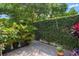Private backyard features a lush wall of green providing a peaceful setting at 7672 Torino Ct, Orlando, FL 32835