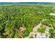 Aerial view illustrating the property's location surrounded by abundant greenery, creating a private and secluded atmosphere at 102 Wild Plum Ln, Longwood, FL 32779