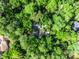 Aerial view showing the home nestled among mature trees, offering privacy and a tranquil, wooded setting at 102 Wild Plum Ln, Longwood, FL 32779