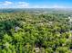 Expansive aerial view featuring lush tree coverage and beautiful homes that provides a serene living experience at 102 Wild Plum Ln, Longwood, FL 32779