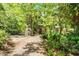 View down long gravel driveway of home surrounded by mature trees and landscaping at 102 Wild Plum Ln, Longwood, FL 32779