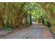 Long, inviting driveway embraced by lush bamboo, offering a private and serene entrance to the property at 102 Wild Plum Ln, Longwood, FL 32779