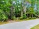 Street view with mature trees enhancing the property's appeal and offering a serene, shaded environment at 102 Wild Plum Ln, Longwood, FL 32779