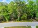 Beautiful, tree lined street view leading to the property and highlighting the area's natural surroundings at 102 Wild Plum Ln, Longwood, FL 32779