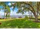 Lush backyard with a scenic lake view, featuring a well-maintained lawn, mature trees, and a charming dock at 10577 Down Lakeview Cir, Windermere, FL 34786
