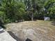 Spacious backyard featuring a large tree, open space, and a storage shed at 247 S Marydell Ave, Deland, FL 32720